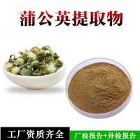 蒲公英提取物   蒲公英浓缩粉