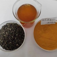 绿茶提取物 茶多酚95%