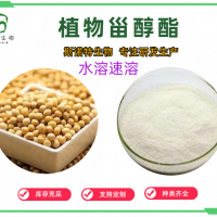 植物甾醇酯 全水溶 精细粉末 SC厂家斯诺特