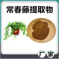 常春藤提取物 水溶性常春藤浓缩速溶粉 斯诺特生物供应