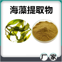 海藻提取物 水溶海藻浓缩速溶粉 斯诺特生物供应