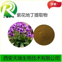 紫花地丁提取物10:1现货包邮紫花地丁浓缩粉