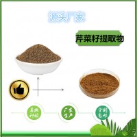 芹菜籽提取物源头厂家芹菜籽粉 芹菜籽浸膏