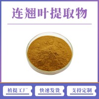 连翘叶提取物 连翘叶粉 支持定制 水溶性粉末 多种规格