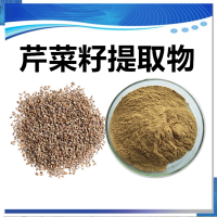 芹菜籽提取物 水溶性芹菜籽浓缩速溶粉 斯诺特生物供应