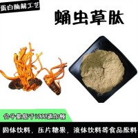 蛹虫草肽 食品原料