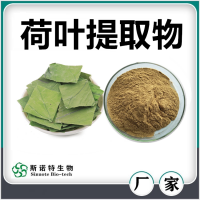 荷叶提取物 荷叶粉 水溶性好无沉淀 斯诺特生物