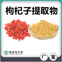 枸杞子提取物 枸杞子粉 水溶性好无沉淀 斯诺特生物