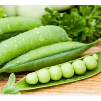 豌豆粉 豌豆速溶粉价格