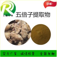 五倍子提取物 五倍子浓缩粉天瑞植提厂家规格可定制
