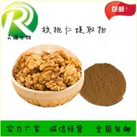核桃仁粉 核桃仁浓缩粉核桃肽天瑞生物五谷杂粮粉