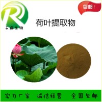 荷叶碱1%厂家天瑞生物 一公斤起订