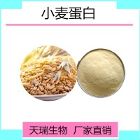 小麦蛋白90% 小麦低聚肽天瑞生物包邮