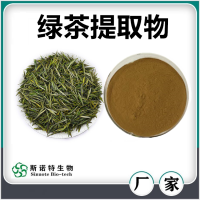 绿茶提取物 斯诺特生物自产自销绿茶儿茶素绿茶粉