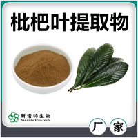 枇杷叶提取物 斯诺特生物自产自销枇杷叶速溶粉
