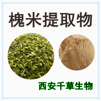 水溶性槐米提取物槐米粉 供应多规格槐米浓缩原液