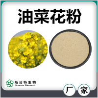 油菜花粉 喷雾干燥油菜花速溶粉 浓缩萃取 厂家供应