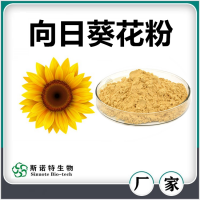 向日葵花粉 喷雾干燥向日葵花速溶粉 浓缩萃取 厂家供应