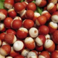 芡实粉 芡实喷雾干燥粉芡实粉速溶粉