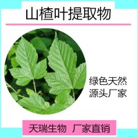 山楂叶粉  山楂叶黄酮天瑞生物厂家现货