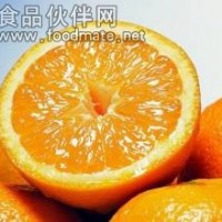 胡柚粉 胡柚喷雾干燥粉饮料食品添加