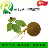 三七叶提取物 三七叶子粉天瑞生物