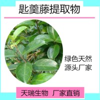 匙羹藤提取物 匙羹藤酸比例提取天瑞规格可定制