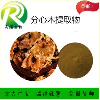 分心木提取物 核桃分心木提取物天瑞植提厂家规格可定制