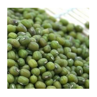 绿豆粉 绿豆喷雾干燥粉绿豆粉速溶粉