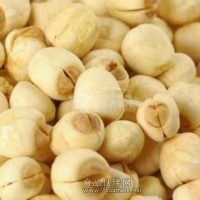 莲子粉 莲子喷雾干燥粉莲子速溶粉