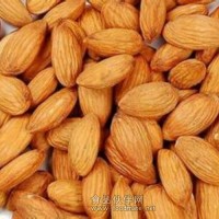杏仁粉 杏仁喷雾干燥粉杏仁粉速溶粉