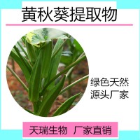 秋葵提取物 秋葵原粉天瑞生物代餐粉原料