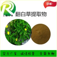 翻白草提取物 翻白草粉天瑞植提厂家规格可定制