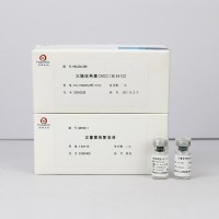 大肠埃希氏菌CMCC(B)44102（定量）
