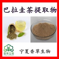 巴拉圭茶提取物速溶粉10:1巴拉圭茶浸膏粉浓缩粉