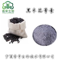 黑米提取物黑米花青素25%价格陕西洋县黑米超细粉供应