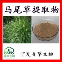 马尾草提取物浸膏粉宁夏厂家马尾草速溶粉马尾草提取液