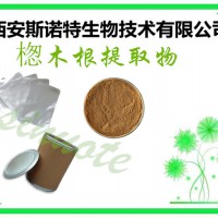 ?B木根浸膏粉 ?B木根粉 包邮 斯诺特生产厂家