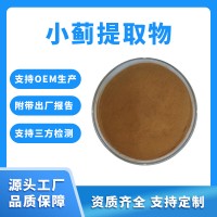 小蓟粉 小蓟提取物 支持定制 水溶性粉末 固体饮料原料