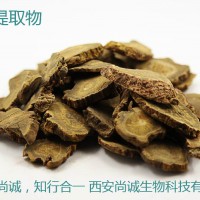 大黄提取物