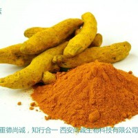 姜黄提取物姜黄素