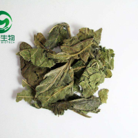 荷叶提取物