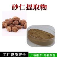 砂仁提取物  砂仁粉  浓缩工艺
