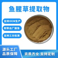 鱼腥草粉 鱼腥草提取物 支持定制 水溶性粉末 固体饮料原料