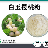 白玉樱桃粉 水溶性白玉樱桃果提取物粉 喷雾干燥
