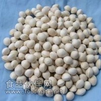 白果提取物