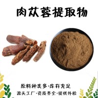 肉苁蓉提取物  松果菊苷10%  肉苁蓉粉