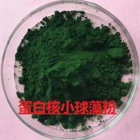 蛋白核小球藻粉  含量55%