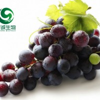 葡萄提取物白藜芦醇