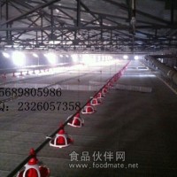家禽漏粪板，漏粪板设备，漏粪板厂家